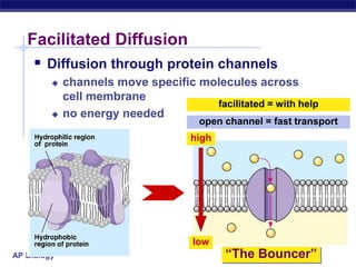 AP Biology
Facilitated Diffusion
 Diffusion through protein channels
 channels move specific molecules across
cell membrane
 no energy needed
“The Bouncer”
open channel = fast transport
facilitated = with help
high
low
 