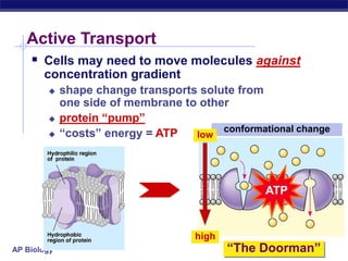 AP Biology
Active Transport
“The Doorman”
conformational change
 Cells may need to move molecules against
concentration gradient
 shape change transports solute from
one side of membrane to other
 protein “pump”
 “costs” energy = ATP
ATP
low
high
 