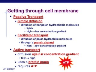 AP Biology
Getting through cell membrane
 Passive Transport
 Simple diffusion
 diffusion of nonpolar, hydrophobic molecules
 lipids
 high  low concentration gradient
 Facilitated transport
 diffusion of polar, hydrophilic molecules
 through a protein channel
 high  low concentration gradient
 Active transport
 diffusion against concentration gradient
 low  high
 uses a protein pump
 requires ATP
ATP
 