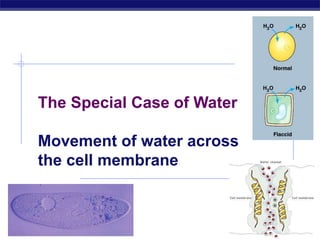 AP Biology 2007-2008
The Special Case of Water
Movement of water across
the cell membrane
 