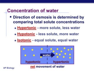 AP Biology
Concentration of water
 Direction of osmosis is determined by
comparing total solute concentrations
 Hypertonic - more solute, less water
 Hypotonic - less solute, more water
 Isotonic - equal solute, equal water
hypotonic hypertonic
water
net movement of water
 