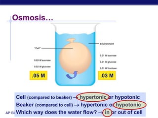 AP Biology
Cell (compared to beaker)  hypertonic or hypotonic
Beaker (compared to cell)  hypertonic or hypotonic
Which way does the water flow?  in or out of cell
.05 M .03 M
Osmosis…
 