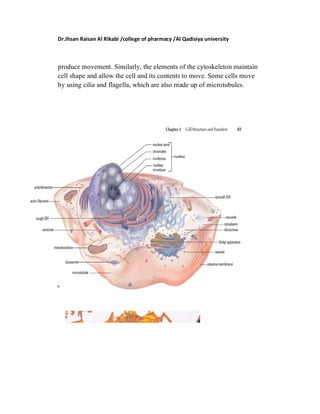 The Cell Structure & Function | PDF