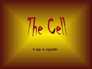 A map to organelles The Cell 