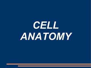 CELL ANATOMY 