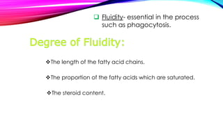 Fluidity Length Cell Surface Membrane | PPTX