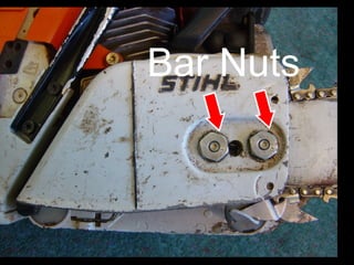 Bar Nuts 