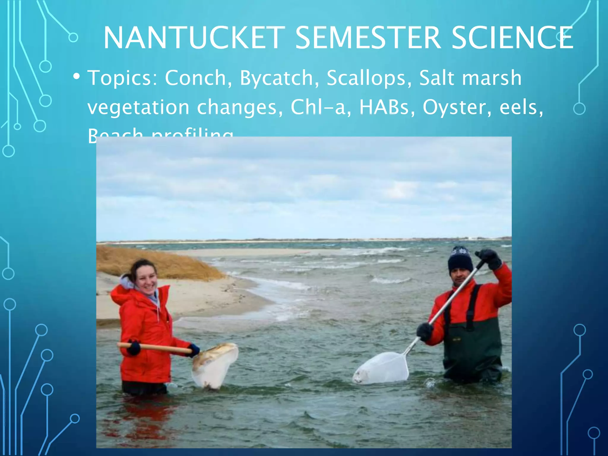 NANTUCKET SEMESTER SCIENCE
• Topics: Conch, Bycatch, Scallops, Salt marsh
vegetation changes, Chl-a, HABs, Oyster, eels,
Beach profiling
 