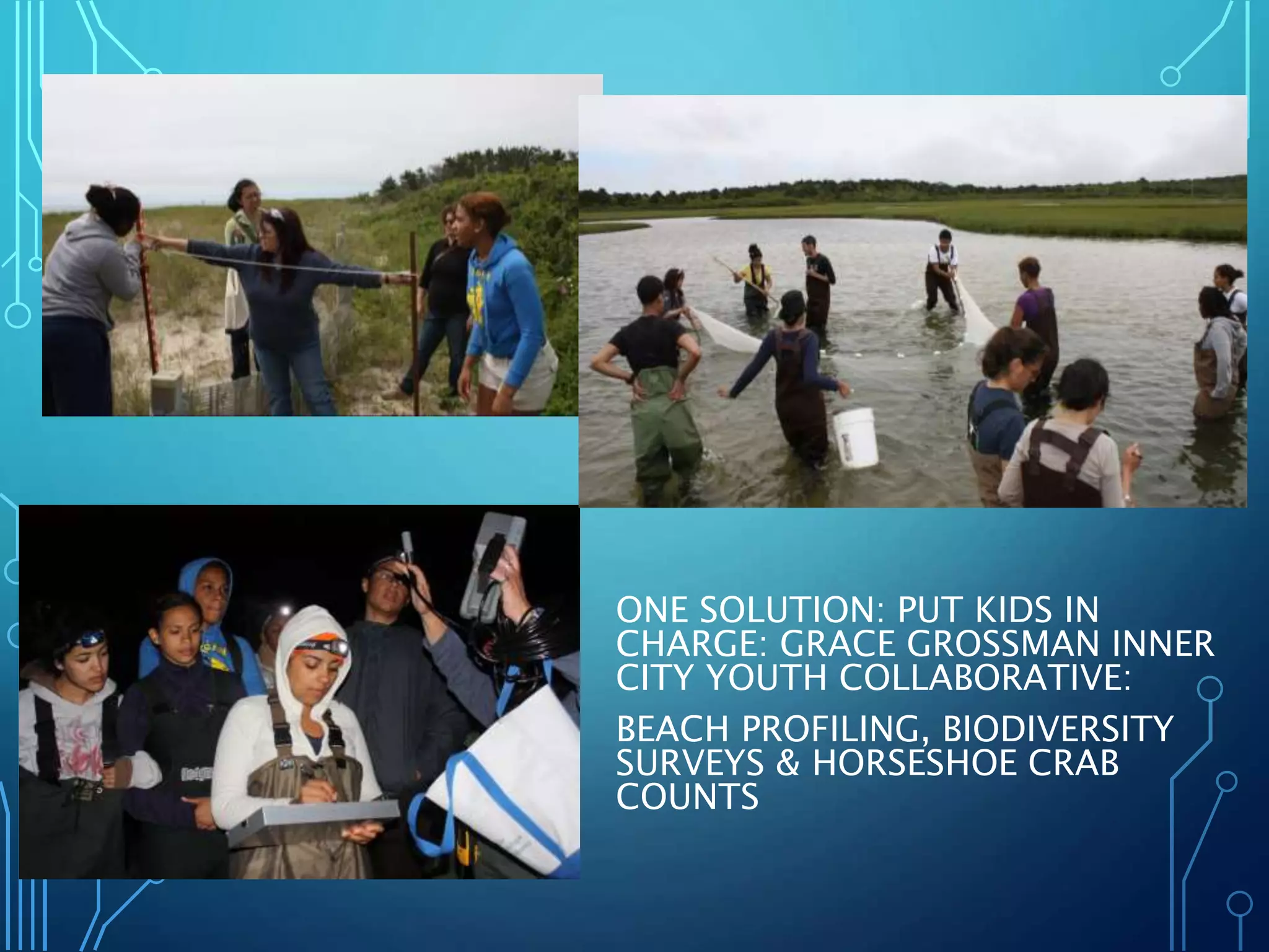 ONE SOLUTION: PUT KIDS IN
CHARGE: GRACE GROSSMAN INNER
CITY YOUTH COLLABORATIVE:
BEACH PROFILING, BIODIVERSITY
SURVEYS & HORSESHOE CRAB
COUNTS
 