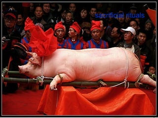 sacrificial rituals   