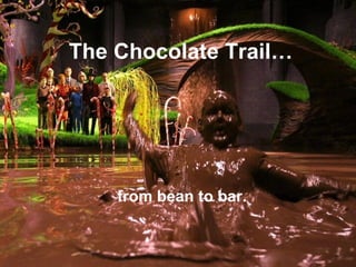 The Chocolate Trail… from bean to bar. 