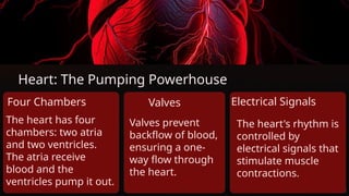 Heart: The Pumping Powerhouse
Four Chambers
The heart has four
chambers: two atria
and two ventricles.
The atria receive
blood and the
ventricles pump it out.
Valves
Valves prevent
backflow of blood,
ensuring a one-
way flow through
the heart.
Electrical Signals
The heart's rhythm is
controlled by
electrical signals that
stimulate muscle
contractions.
 