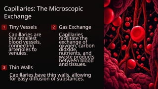 Capillaries: The Microscopic
Exchange
1 Tiny Vessels
Capillaries are
the smallest
blood vessels,
connecting
arterioles to
venules.
2 Gas Exchange
Capillaries
facilitate the
exchange of
oxygen, carbon
dioxide,
nutrients, and
waste products
between blood
and tissues.
3 Thin Walls
Capillaries have thin walls, allowing
for easy diffusion of substances.
 