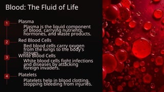 Blood: The Fluid of Life
1 Plasma
Plasma is the liquid component
of blood, carrying nutrients,
hormones, and waste products.
2 Red Blood Cells
3 White Blood Cells
White blood cells fight infections
and diseases by attacking
foreign invaders.
4 Platelets
Red blood cells carry oxygen
from the lungs to the body's
tissues.
Platelets help in blood clotting,
stopping bleeding from injuries.
 