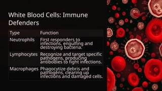 White Blood Cells: Immune
Defenders
Type Function
Neutrophils First responders to
infections, engulfing and
destroying bacteria.
Lymphocytes Recognize and target specific
pathogens, producing
antibodies to fight infections.
Macrophages Phagocytize debris and
pathogens, clearing up
infections and damaged cells.
 