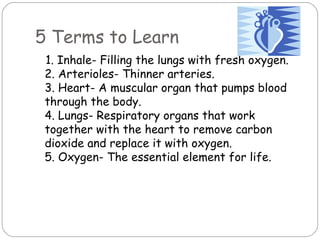 5 Terms to Learn 1. Inhale- Filling the lungs with fresh oxygen. 2. Arterioles- Thinner arteries. 3. Heart- A muscular organ that pumps blood through the body. 4. Lungs- Respiratory organs that work together with the heart to remove carbon dioxide and replace it with oxygen. 5. Oxygen- The essential element for life. 