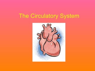 The Circulatory System 