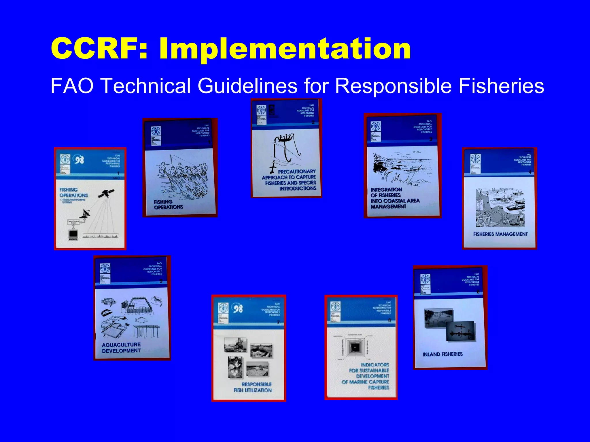 CCRF: Implementation
FAO Technical Guidelines for Responsible Fisheries
 