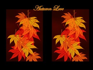 Autumn Love 