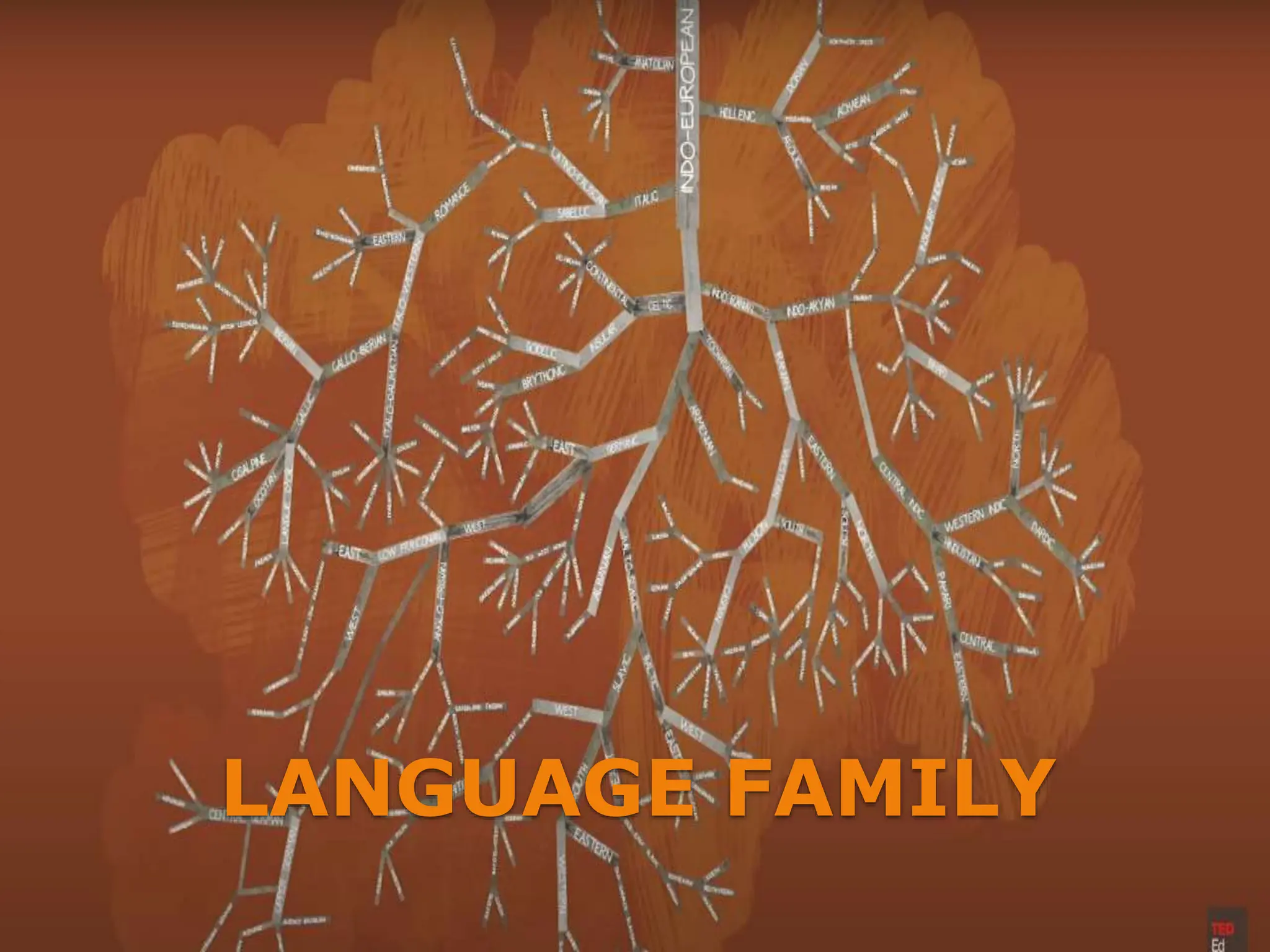 LANGUAGE FAMILY
 