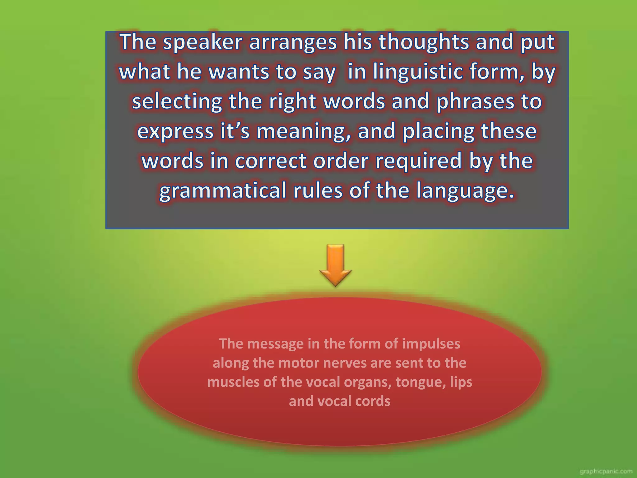 The message in the form of impulses
along the motor nerves are sent to the
muscles of the vocal organs, tongue, lips
and vocal cords