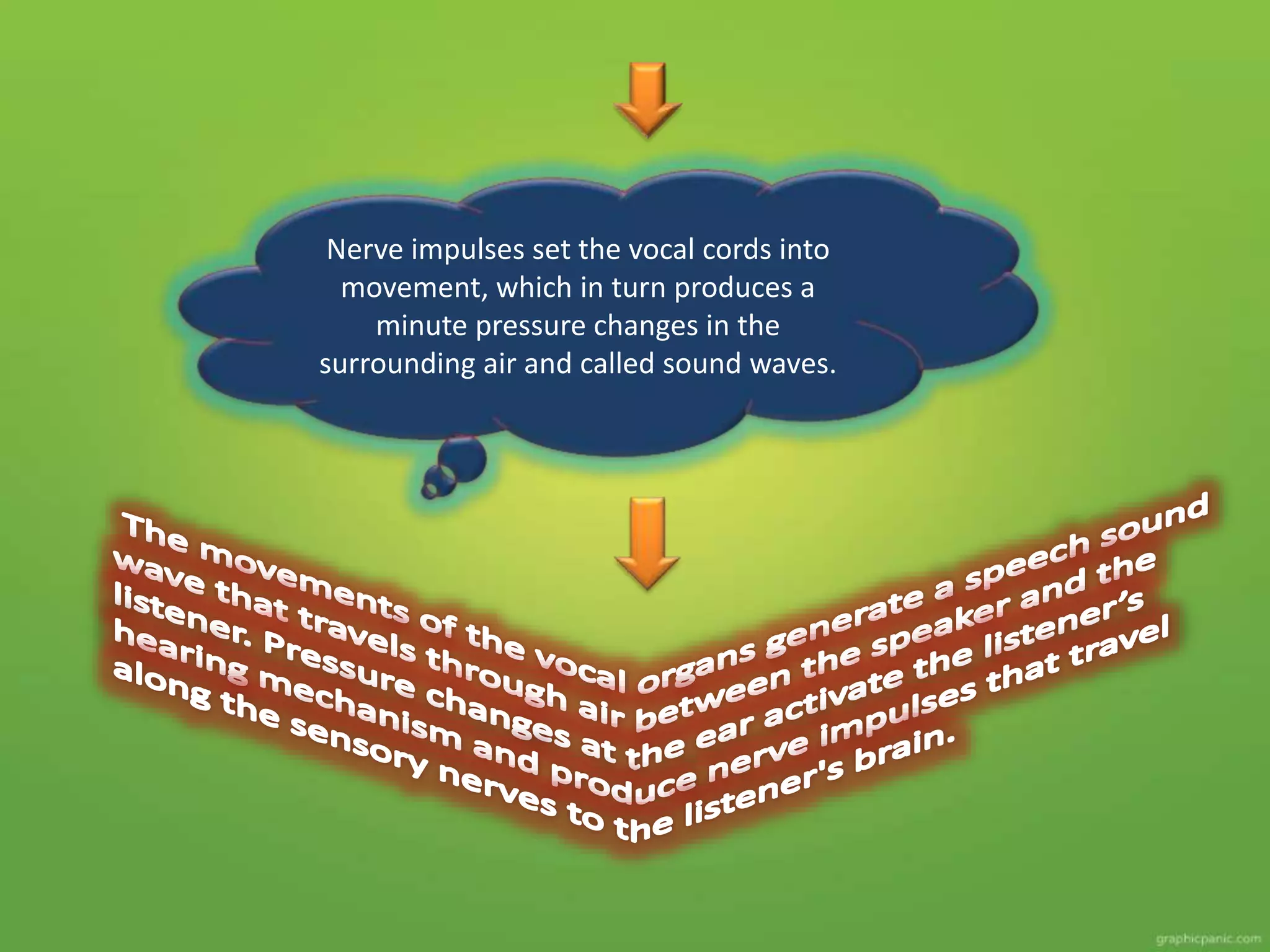Nerve impulses set the vocal cords into
movement, which in turn produces a
minute pressure changes in the
surrounding air and called sound waves.