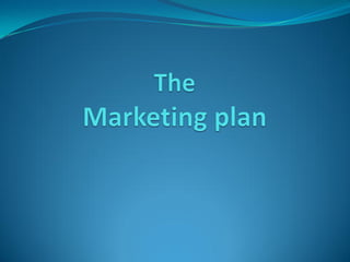 Write your Business plan Today