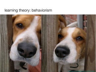 learning theory: behaviorism http://www.flickr.com/photos/74122471@N00/7359649 