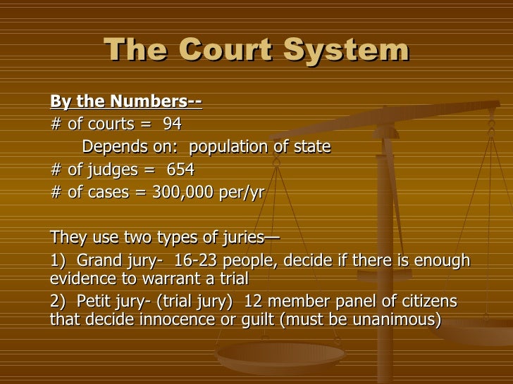 The Court System