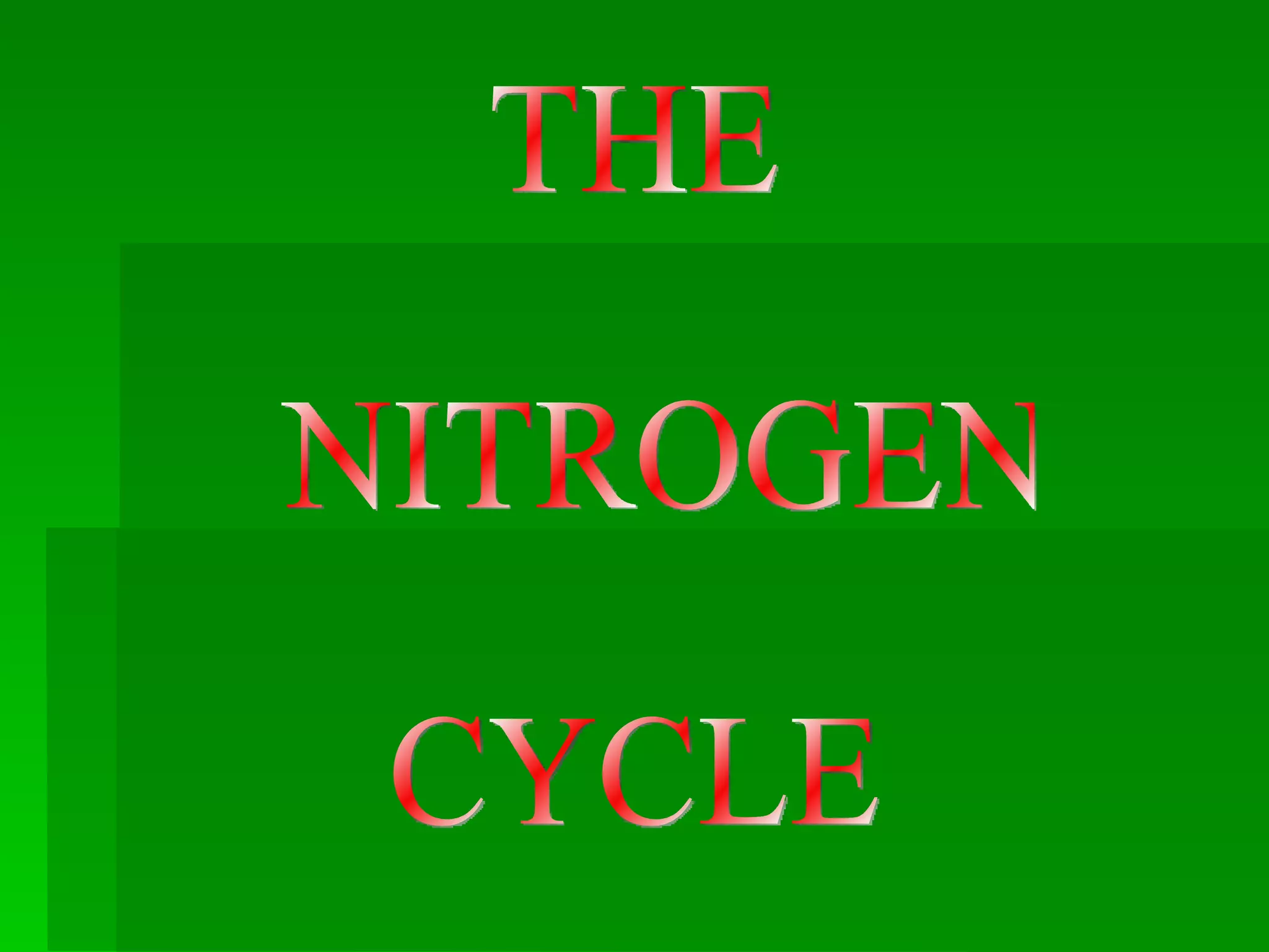 THE NITROGEN  CYCLE 