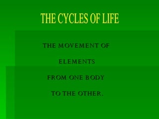 The Cycle Of Life1