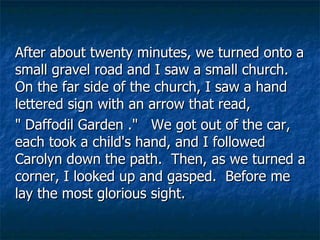 After about twenty minutes, we turned onto a small gravel road and I saw a small church. On the far side of the church, I saw a hand lettered sign with an arrow that read,  " Daffodil Garden ."   We got out of the car, each took a child's hand, and I followed Carolyn down the path.  Then, as we turned a corner, I looked up and gasped.  Before me lay the most glorious sight.  