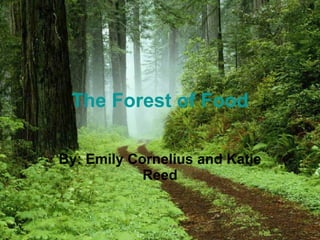 The Forest of Food By: Emily Cornelius and Katie Reed 