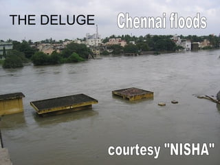 THE DELUGE Chennai floods courtesy &quot;NISHA&quot; 
