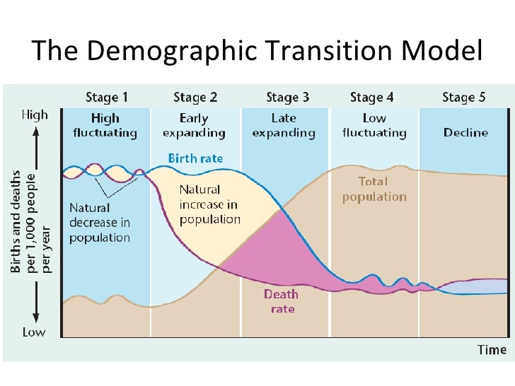 The Demographic Tranistion Model The Demographic Tranistion Model
