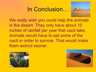 In Conclusion… We really wish you could help the animals in the desert. They only have about 10 inches of rainfall per year that cacti take. Animals would have to eat some of the cacti in order to survive. That would make them extinct sooner.