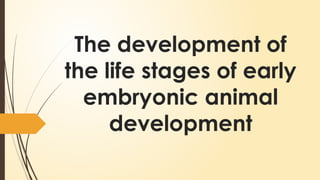 The-development-of-the-life-stages-of-early.pptx