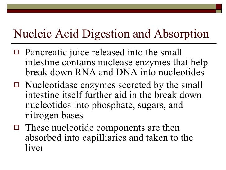 The Digestive System