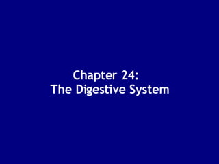 Chapter 24:  The Digestive System 
