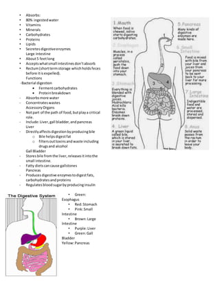• Absorbs:
• 80% ingestedwater
• Vitamins
• Minerals
• Carbohydrates
• Proteins
• Lipids
• Secretesdigestiveenzymes
Large Intestine
• About5 feetlong
• Acceptswhatsmall intestinesdon’tabsorb
• Rectum(shorttermstorage whichholdsfeces
before itisexpelled).
Functions
-Bacterial digestion
 Fermentcarbohydrates
 Proteinbreakdown
- Absorbsmore water
- Concentrates wastes
AccessoryOrgans
- Notpart of the path of food,butplaya critical
role.
- Include:Liver,gall bladder,andpancreas
Liver
- Directlyaffectsdigestionbyproducingbile
o Bile helpsdigestfat
o filtersouttoxinsandwaste including
drugsand alcohol
Gall Bladder
- Storesbile fromthe liver,releasesitintothe
small intestine.
- Fatty dietscancause gallstones
Pancreas
- Producesdigestive enzymestodigestfats,
carbohydratesandproteins
- Regulatesbloodsugarbyproducinginsulin
• Green:
Esophagus
• Red:Stomach
• Pink:Small
Intestine
• Brown:Large
Intestine
• Purple:Liver
• Green:Gall
Bladder
Yellow:Pancreas
 