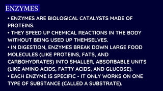 • ENZYMES ARE BIOLOGICAL CATALYSTS MADE OF
PROTEINS.
• THEY SPEED UP CHEMICAL REACTIONS IN THE BODY
WITHOUT BEING USED UP THEMSELVES.
• IN DIGESTION, ENZYMES BREAK DOWN LARGE FOOD
MOLECULES (LIKE PROTEINS, FATS, AND
CARBOHYDRATES) INTO SMALLER, ABSORBABLE UNITS
(LIKE AMINO ACIDS, FATTY ACIDS, AND GLUCOSE).
• EACH ENZYME IS SPECIFIC - IT ONLY WORKS ON ONE
TYPE OF SUBSTANCE (CALLED A SUBSTRATE).
ENZYMES
 