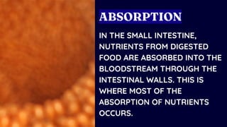 IN THE SMALL INTESTINE,
NUTRIENTS FROM DIGESTED
FOOD ARE ABSORBED INTO THE
BLOODSTREAM THROUGH THE
INTESTINAL WALLS. THIS IS
WHERE MOST OF THE
ABSORPTION OF NUTRIENTS
OCCURS.
ABSORPTION
 