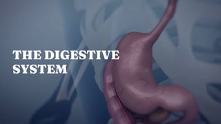 THE DIGESTIVE
SYSTEM
 