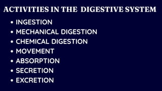 INGESTION
MECHANICAL DIGESTION
CHEMICAL DIGESTION
MOVEMENT
ABSORPTION
SECRETION
EXCRETION
ACTIVITIES IN THE DIGESTIVE SYSTEM
 