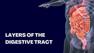 LAYERS OF THE
DIGESTIVE TRACT
 