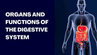 ORGANS AND
FUNCTIONS OF
THE DIGESTIVE
SYSTEM
 