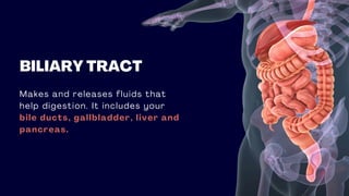 BILIARY TRACT
Makes and releases fluids that
help digestion. It includes your
bile ducts, gallbladder, liver and
pancreas.
 