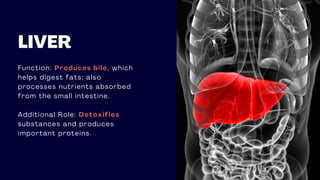 LIVER
Function: Produces bile, which
helps digest fats; also
processes nutrients absorbed
from the small intestine.
Additional Role: Detoxifies
substances and produces
important proteins.
 