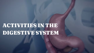 ACTIVITIES IN THE
DIGESTIVE SYSTEM
 