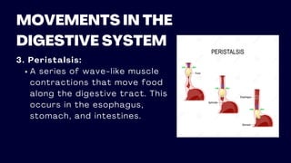 MOVEMENTS IN THE
DIGESTIVE SYSTEM
3. Peristalsis:
A series of wave-like muscle
contractions that move food
along the digestive tract. This
occurs in the esophagus,
stomach, and intestines.
 